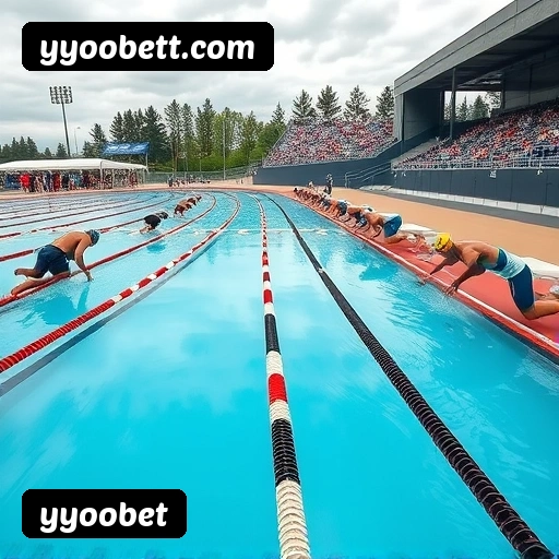 Níveis do programa VIP da yyoobet